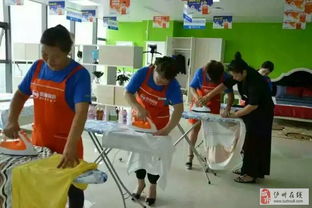 歡顏家政瀘州分公司 高端家政服務與精細化物業管理的融合典范